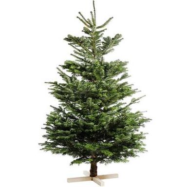 Naudet - Pépinières Sapin sur pied Nordmann Naturel, 175/200 cm