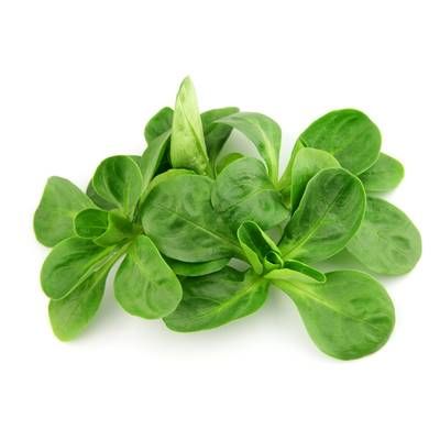 PicVert Mâche Jeune Pousse, Barquette de 125g