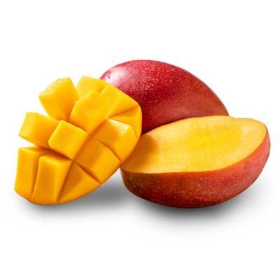 Oxa-Exotic Mangue Kent Avion, 1 Pièce