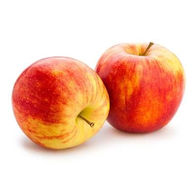 Mouneyrac Pomme Elstar