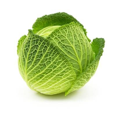 Les Paysans Bio Chou Vert Frisé Bio, 1 Pièce