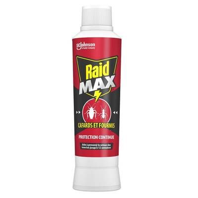 Raid Max Insecticide Poudre Max Cafards et Fourmis, 250g