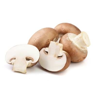 Champignon Brun