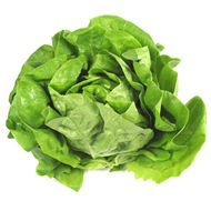 Laitue, 1 Pièce
