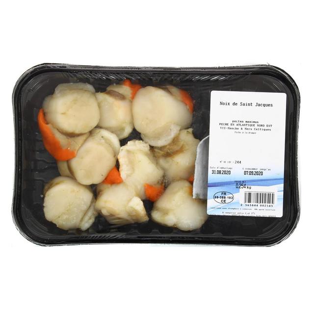 - Norocéan - Noix de Saint Jacques fraîches
