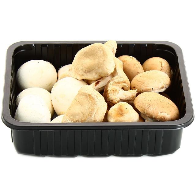 3700789600503 - Fort & Vert - Champignons mixtes Bio