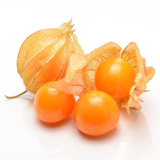 0000020437763 - - Physalis