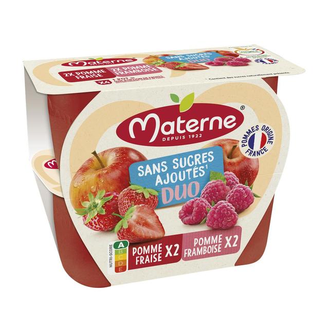 3021760290606 - Materne - Compote pomme fraise framboise