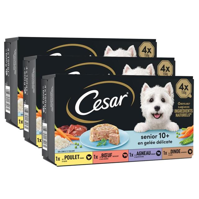 2050000395406 - César - Barquettes en gelée délicate 4 variétés pour chien Senior
