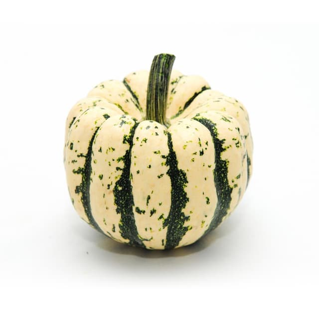 2050000343407 - - Courge Patidou