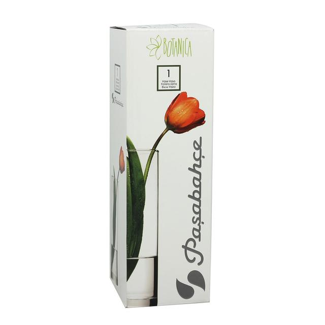 8693357051508 - Botanica - Vase forme droite en verre