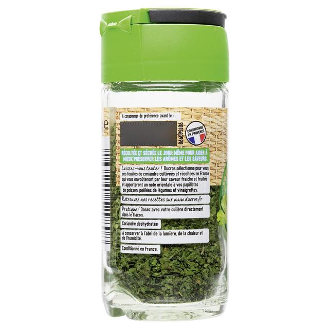 3166291529808 - Ducros - Coriandre en feuilles