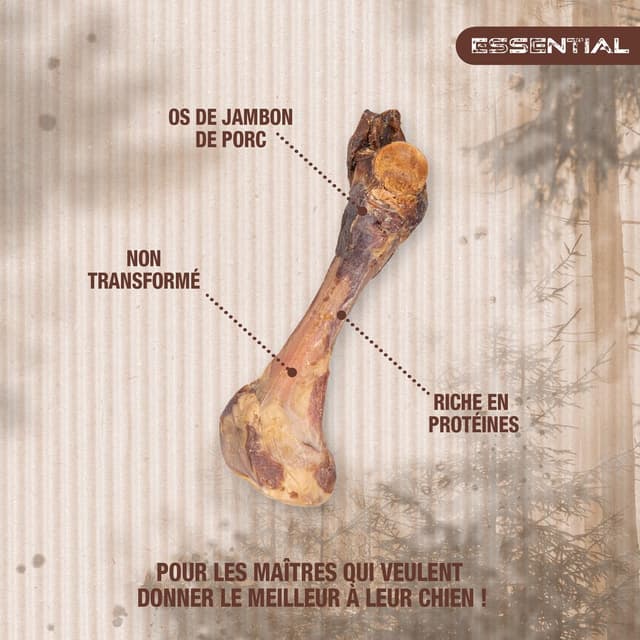 3166780059908 - Riga Essential - Os de Jambon de Porc Maxi à mastiquer - Friandise Récompense pour chien moyen et grand