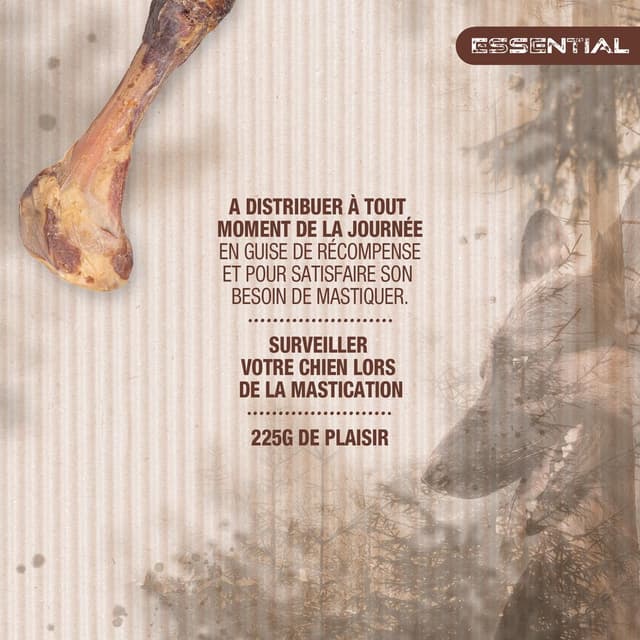 3166780041910 - Riga Essential - Os à mastiquer de Porc - Friandise Récompense pour chien moyen et grand