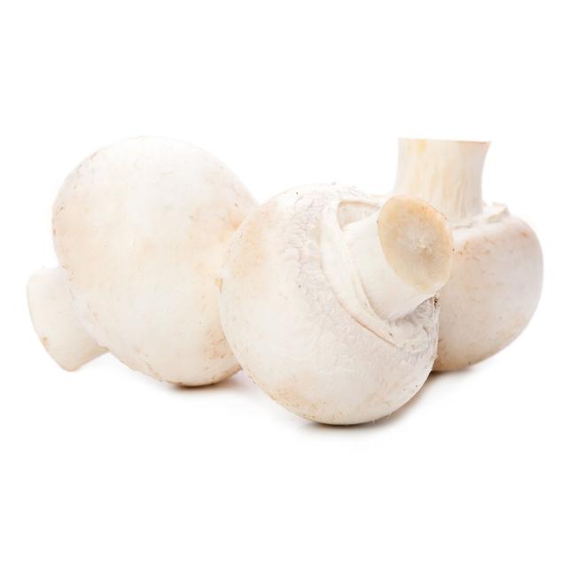 3293028104288 - Champiland - Champignon de Paris Blanc