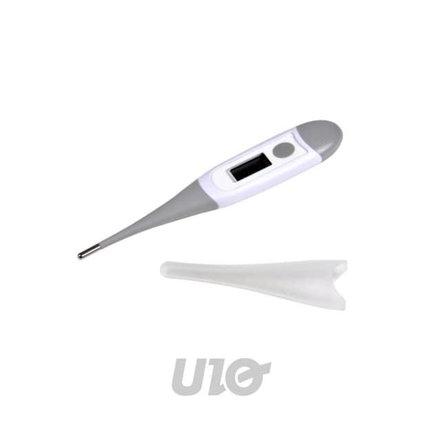 3574380061113 - BEBE DOUCEUR - Thermomètre À Lecture Digitale bébé 13cm Gris