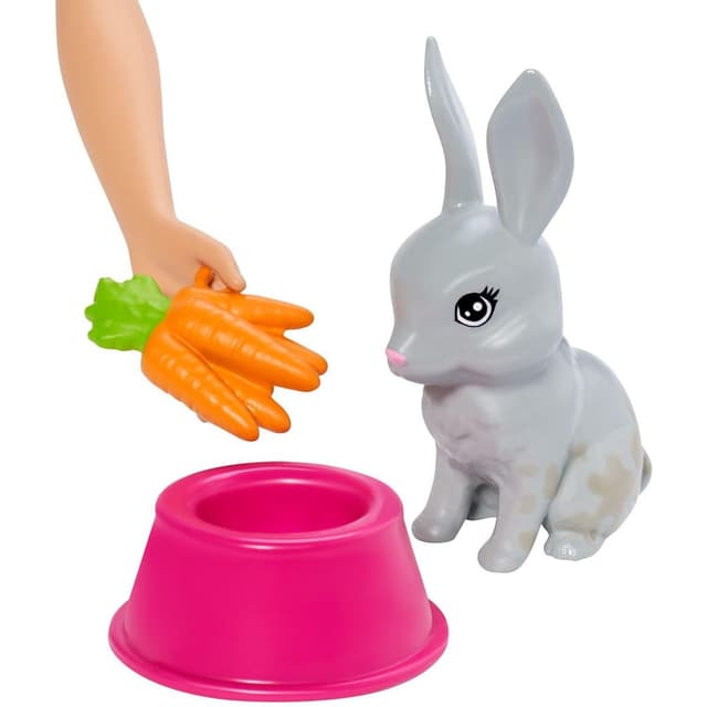 0887961691313 - Barbie - Mattel - Le bain des animaux- Barbie- Fxh11
