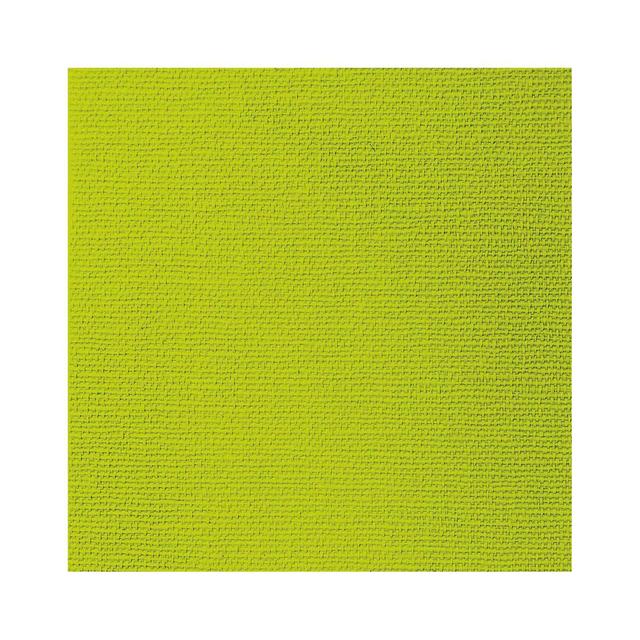 4021766308014 - Paperproducts Design - Serviettes en papier Vert anis