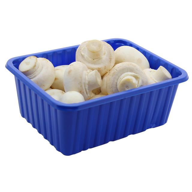 3760130210232 - - Champignon Blanc