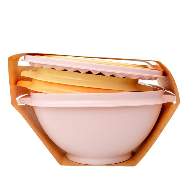 1220000851818 - Tupperware - Bols avec couvercles