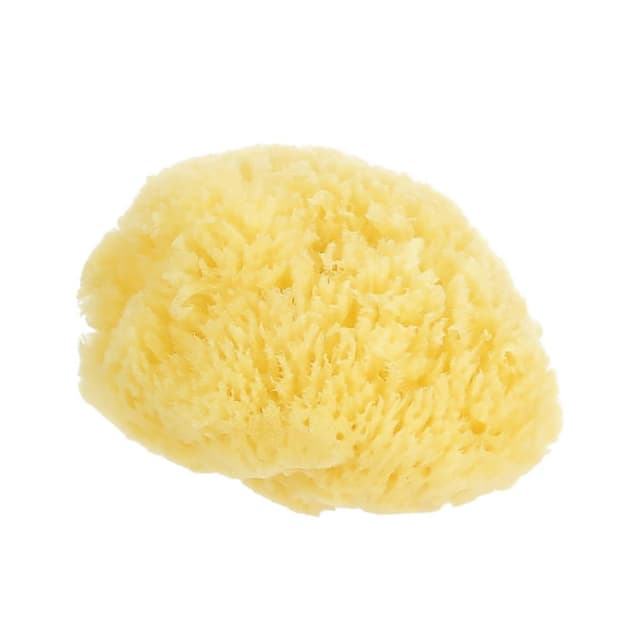 3245678668320 - COSMIA - Eponge de mer douce & délicate