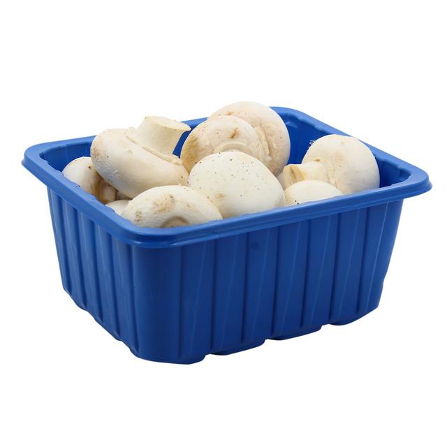 3293028104288 - Champiland - Champignon de Paris Blanc