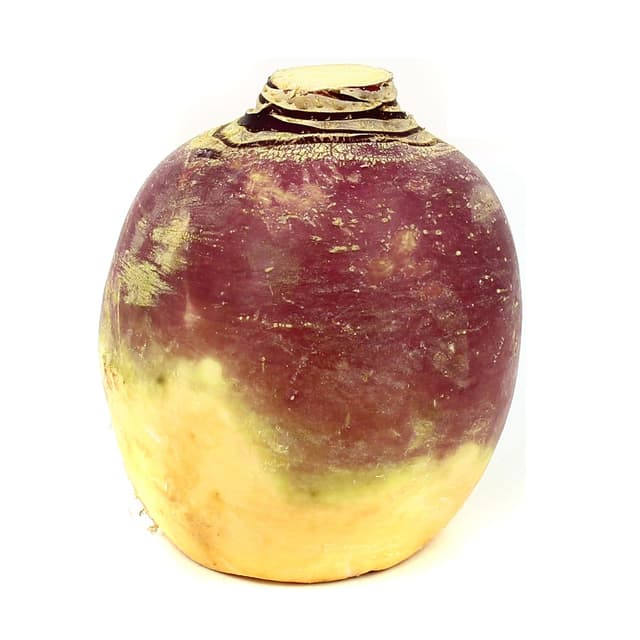 2050000345319 - - Rutabaga