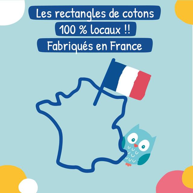 3701719400200 - Carryboo - Family Pads de Coton 100% Bio Format familial.