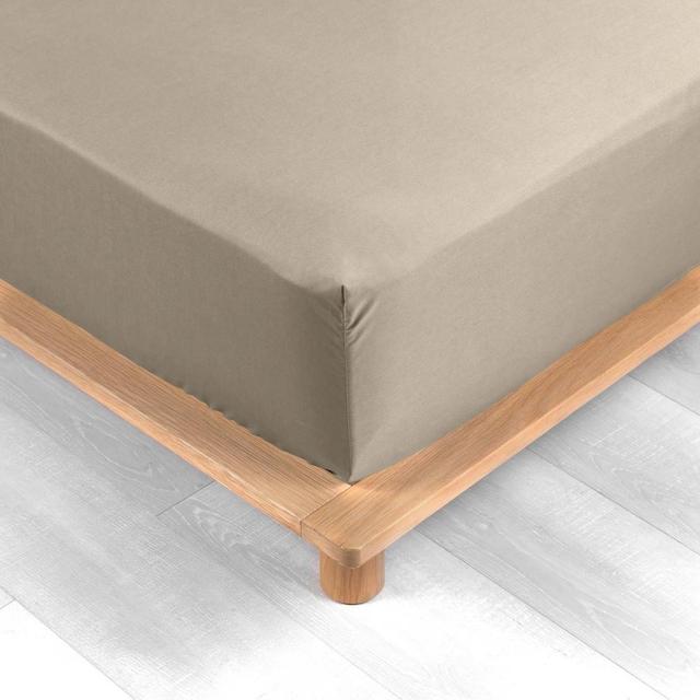 3574386446426 - Douceur D Interieur - Drap housse sable 2 personnes