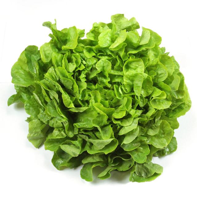 2050000086328 - - Feuille de Chêne Verte