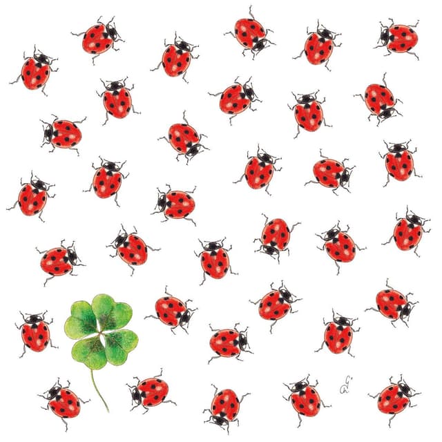 4021766304931 - Paperproducts Design - Serviette de Coccinelle & trèfle