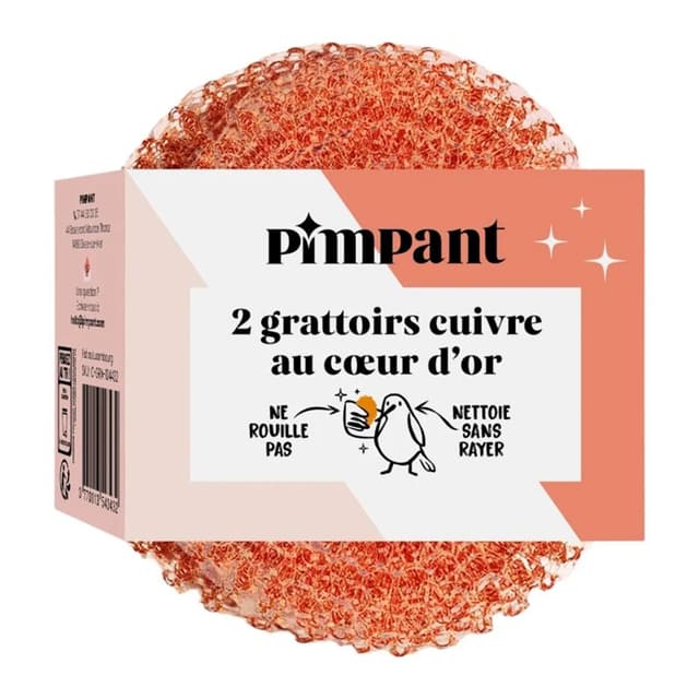 3770013543432 - Pimpant - Grattoire éponge cuivre