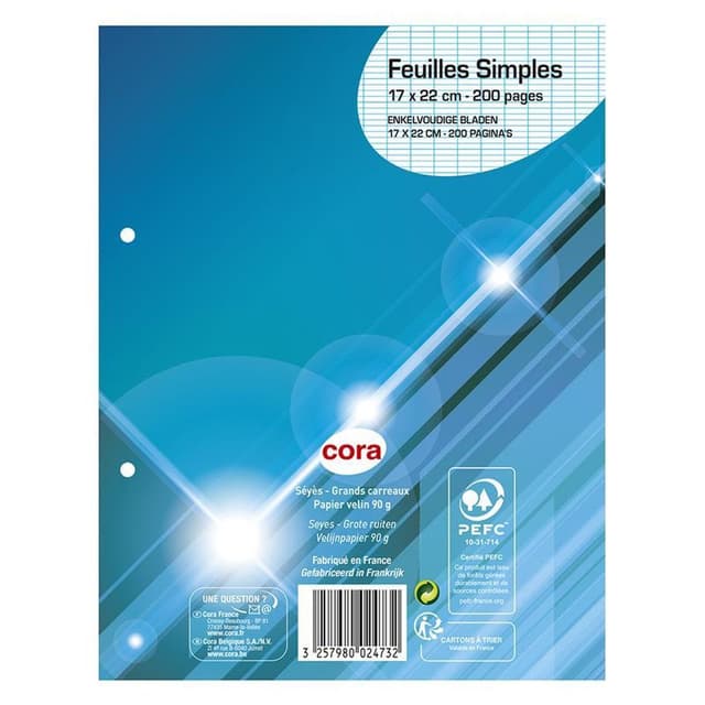 3257980024732 - Cora - Feuilles mobiles 17 x 22 cm grands carreaux