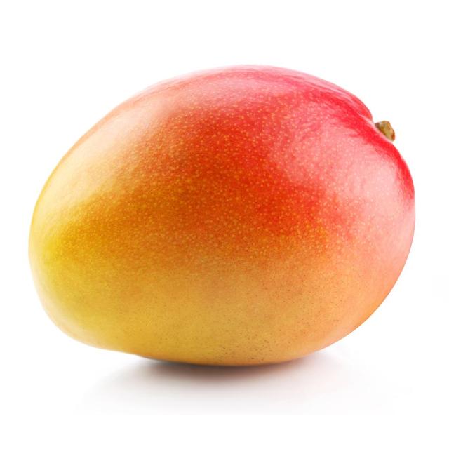 2050000336836 - - Mangue