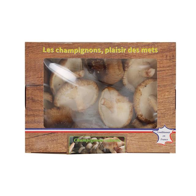 3700758906537 - - Champignon Shiitake