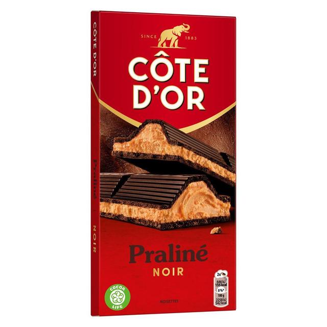 7622400013942 - Côte d'Or - Chocolat Praliné fondant noir