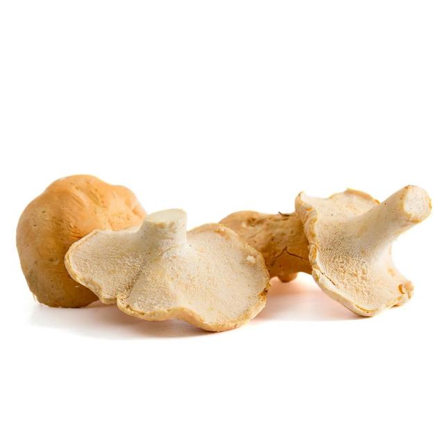 3700758905844 - Paris Saveurs - Champignon Pied-de-Mouton