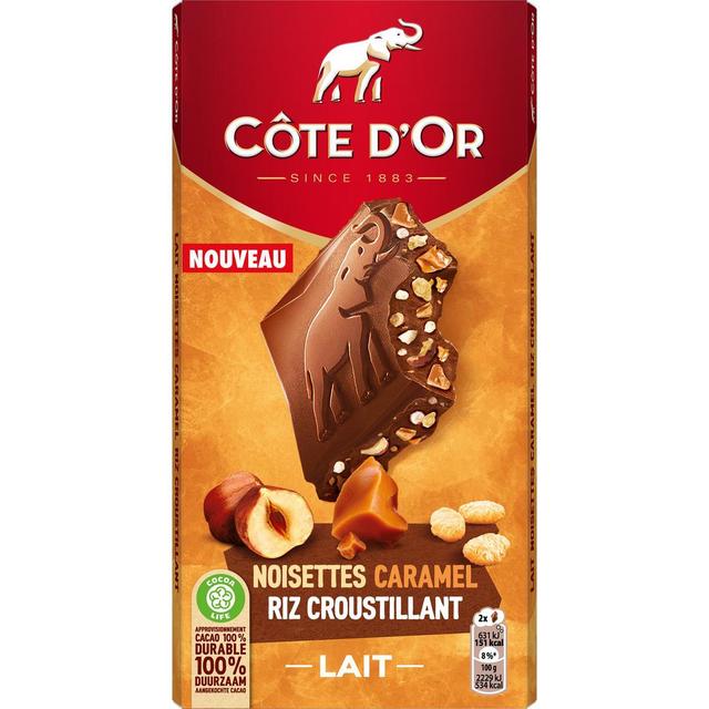 7622201388546 - Côte d'Or - Chocolat au lait avec morceaux