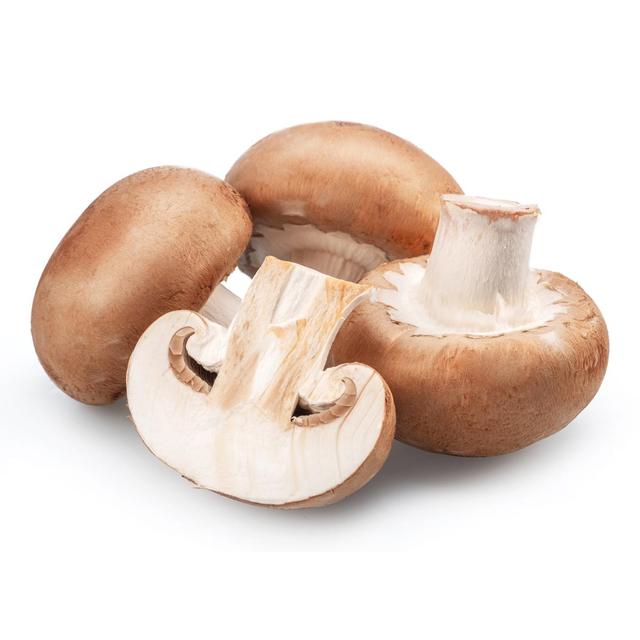 5907779985147 - - Champignon Brun