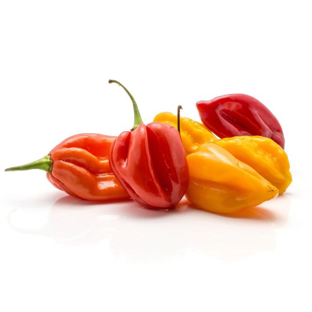3760013350154 - - Piment Antillais