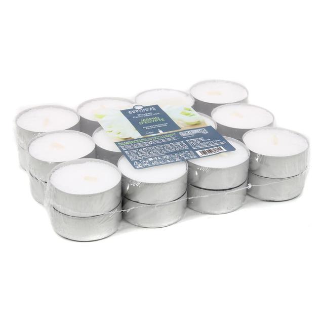 3482356658055 - Ambiances Devineau - Bougies chauffe-plats Jasmin d'Egypte