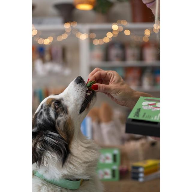 3760407550061 - Delamour - Friandise Pâtisserie Moelleux Hygiene Dentaire - Récompense pour chien