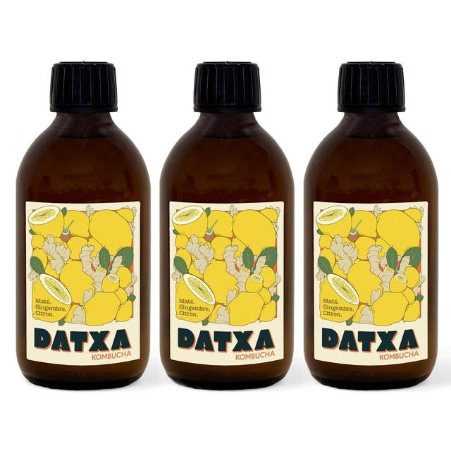 2050000392061 - Datxa - Kombucha Maté Gingembre Bio