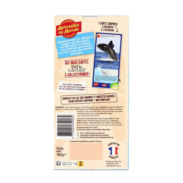 3770024649062 - Merveilles du monde - Chocolat au lait 30% noisettes et amandes pilées