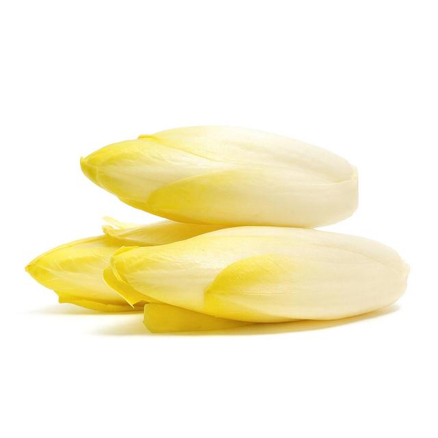 2050000373565 - - Endive