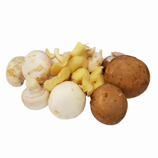 3700789600503 - Fort & Vert - Champignons mixtes Bio