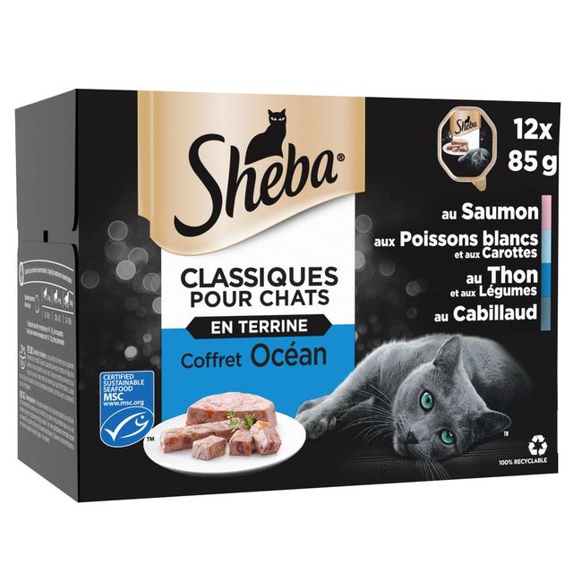 3065890122666 - Sheba - Classiques - Barquettes en Terrine Océan MSC pour chat