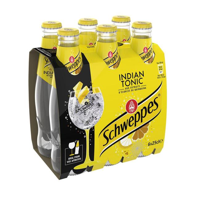 3124480195166 - Schweppes - Indian Tonic (bouteille verre)