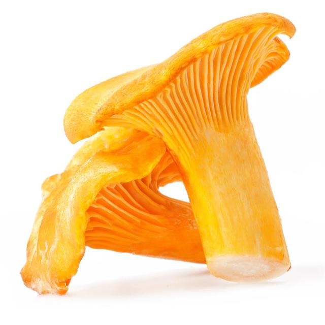 3700758905141 - Paris Saveurs - Champignon Girolle