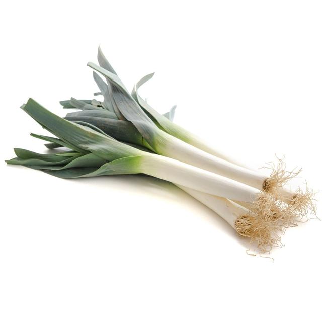 2050000336768 - - Poireau raccourci 35 cm